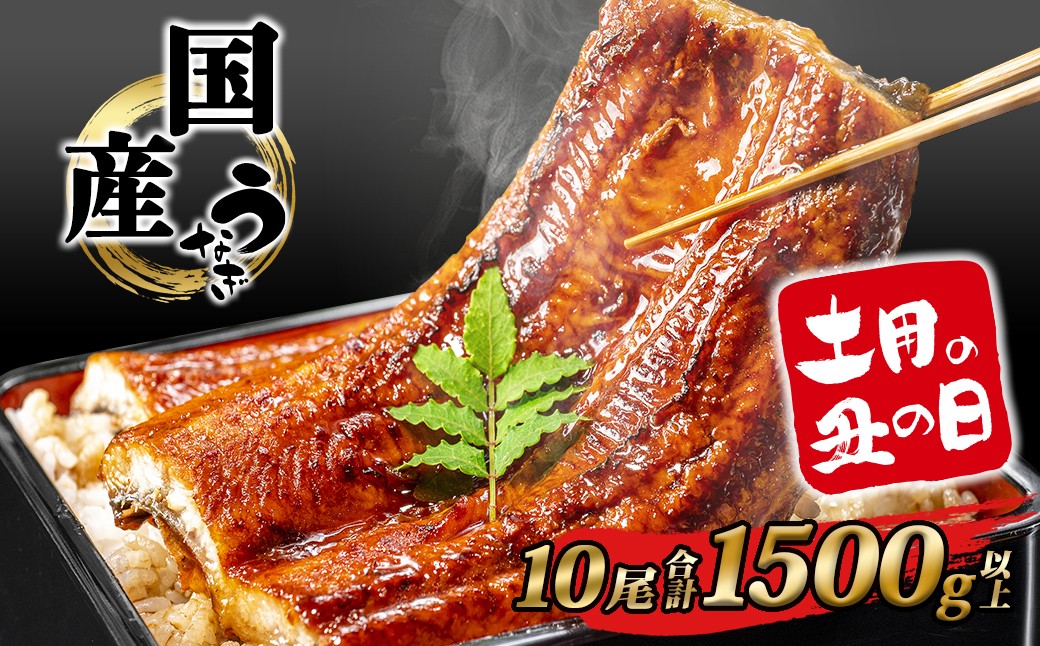
                  国産 うなぎ 蒲焼 10尾 計1,500g以上 タレ お茶山椒付き うなぎ 鰻 ウナギ 蒲焼き かばやき 国産うなぎ ランキング 人気 おすすめ ギフト 丑の日 土用の丑の日 うな重 ひつまぶし 魚 魚介 簡易包装 K2394
                