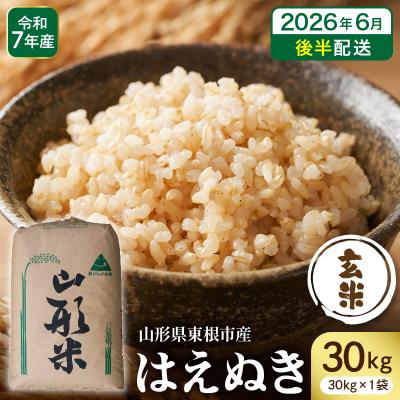 ふるさと納税 東根市 【令和7年産】※2026年6月後半発送※ 玄米 はえぬき30kg hi053-065-063