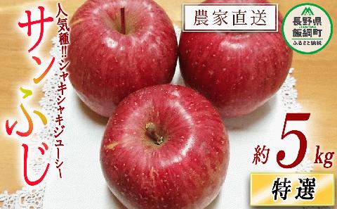 りんご サンふじ 特選 5kg やまじゅうファーム 沖縄県への配送不可 2025年12月上旬頃から2025年12月中旬頃まで順次発送予定 令和7年度収穫分 信州の環境にやさしい農産物 減農薬栽培 長野県 飯綱町 [0534]