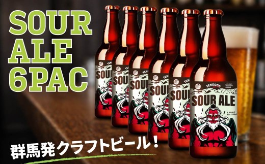 クラフトビール SOUR ALE 6本セット | ビール お酒 クラフトビール 地ビール テングビール 瓶ビール オリジナルビール 微アルコール 女性好み フルーティー すっきり 酸味 プレゼント ギフト 詰め合わせ 家飲み 宅飲み 晩酌 前橋市 群馬県