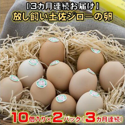【ふるさと納税】 【3カ月連続お届け】 放し飼い 土佐ジロー 卵　20個 入り 3ヶ月 定期便 3回 土佐 地鶏 地鶏卵 天然卵 特産品 濃厚 卵かけご飯 TKG だし巻き卵 人気 高知 黒潮町 ふるさと納税卵 ［1238］