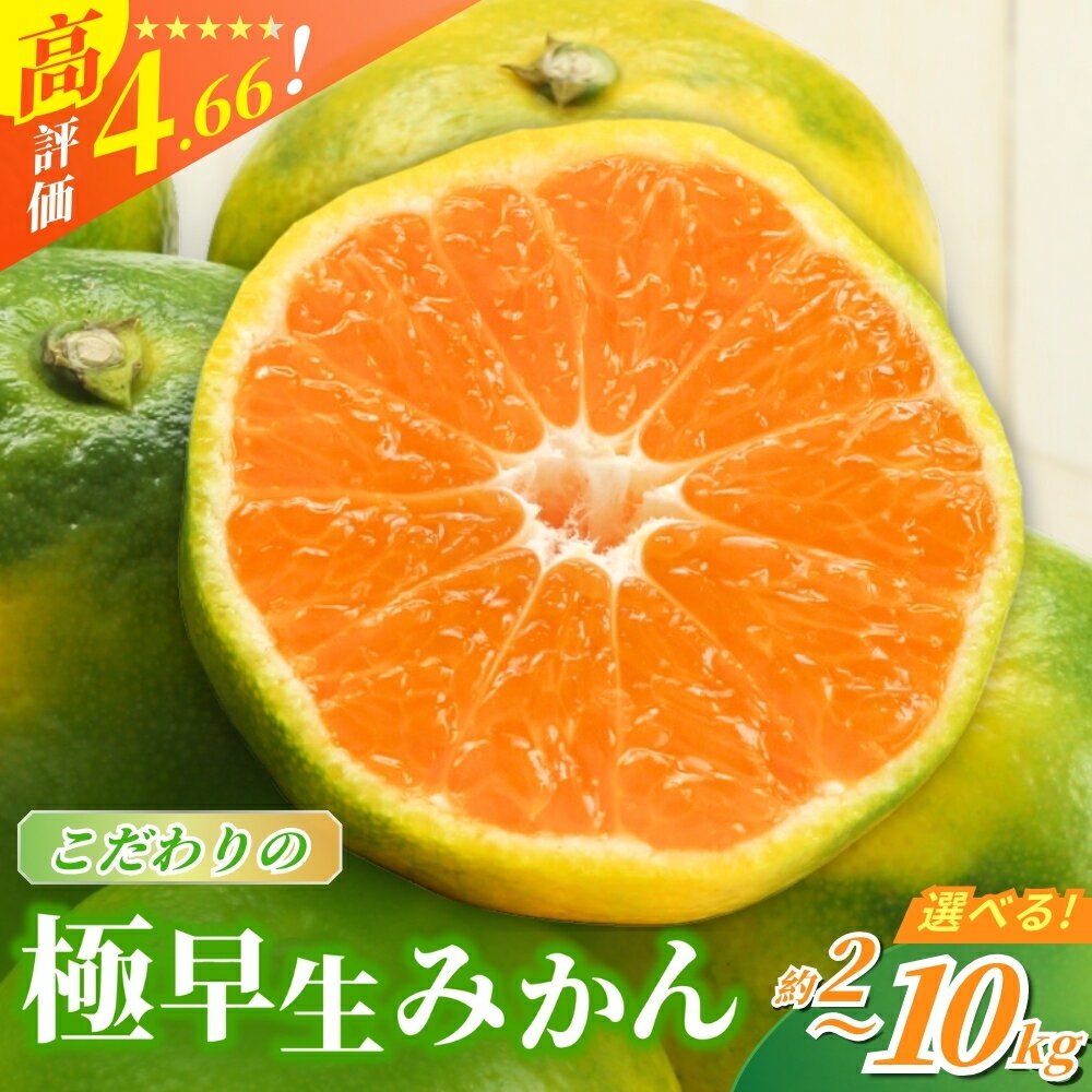 【ふるさと納税】 【先行予約】 ＼光センサー選別／ 農家直送 こだわりの極早生みかん 【選べる容量】約2kg 約4kg 約5kg 約7.5kg 約10kg 数量限定 有機質肥料100% サイズ混合 ※2025年9月下旬より順次発送予定（お届け日指定不可） 有田産 有田 みかん ミカン 早生