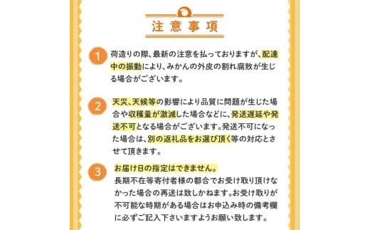土佐文旦 訳あり 10kg 先行予約 2027年２月から順次発送 高知県産 柑橘 フルーツ 文旦 ぶんたん ブンタン 文旦 早期受付 農家直送 産地直送 果物 みかん 文旦 産地直送 旬 高知県 須崎