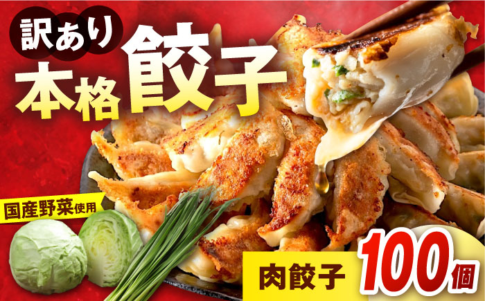 訳あり 本格　肉餃子 100個セット【株式会社オウモリ食品】 [AKHQ006]