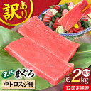 【ふるさと納税】【全12回定期便】【訳あり】天然 本まぐろ 中トロスジ（約2kg） マグロ 定期 鮪 まぐろ 中とろ 刺身 定期便 横須賀 【本まぐろ直売所】[AKAK073]