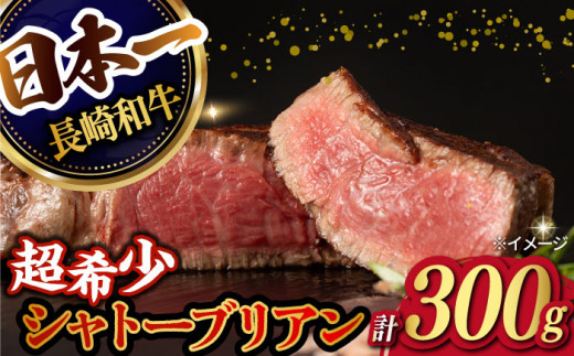 【極上の赤身肉】シャトーブリアン ステーキ 長崎和牛 計300g以上 （約150g×2枚）【肉のマルシン】 [FG08] 和牛 ステーキ 牛肉 赤身 ヒレ ステーキ 焼肉 シャトーブリアン 赤身肉 和牛ステーキ すてーき