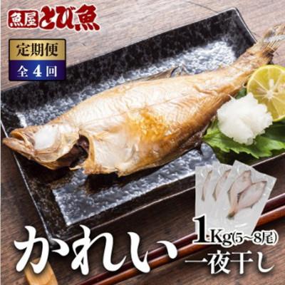 ふるさと納税 若狭町 【3ヵ月毎定期便】かれい一夜干し 1Kg(5〜8尾)全4回