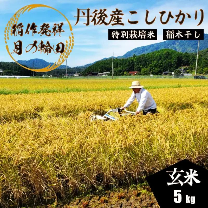 2026年産 京丹後産稲作発祥の地コシヒカリ特別栽培米 豊受月の輪田米 玄米5kg（天日干し） ふるさと納税 米 玄米 お米 ご飯 ごはん コシヒカリ 京丹後産 峰山 農家応援 生産者応援 送料無料