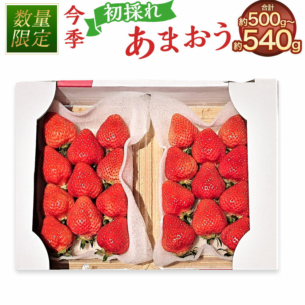 【ふるさと納税】＜予約＞今季初採れ あまおう 2パック【数量限定】 計約500～540g（約250～270g×2パック） 2L・2A・G規格以上 いちご イチゴ 苺 くだもの 果物 果実 フルーツ 冷蔵 福岡県産 国産 九州 福岡県 岡垣町 送料無料 【2025年12月上旬～2026年1月下旬発送予定】