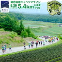 【ふるさと納税】第17回 嬬恋高原キャベツマラソン 5.4km 出走権 1名分 2025年6月29日開催 マラソン出走権 マラソン 2025 マラソン大会 5.4kmマラソン 関東 群馬 RUNNET