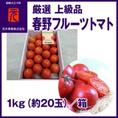 【ふるさと納税】【申込は5月中旬頃まで】まるで宝石！春野フルーツトマト 厳選 上級品 1kg（約20玉）| 元木青果 ＜2025年2月中旬以降発送＞/とまと 高知 フルーツ 果物 高知 【グレイジア株式会社】[ATAC345]