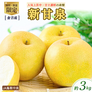 新甘泉【倉吉産】3kg（JA鳥取中央） 鳥取 梨 3kg 和梨 果物 フルーツ