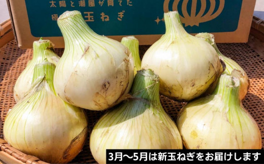 淡路島産玉ねぎ 定期便　3?×10回（発送3月〜12月）