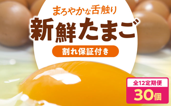 【全12回定期便】平飼い 海草たまご 3パック（30個入り）割れ保証あり 愛媛県大洲市/和田養鶏場 卵 たまご 鶏卵 卵料理 玉子 [AGDQ007]