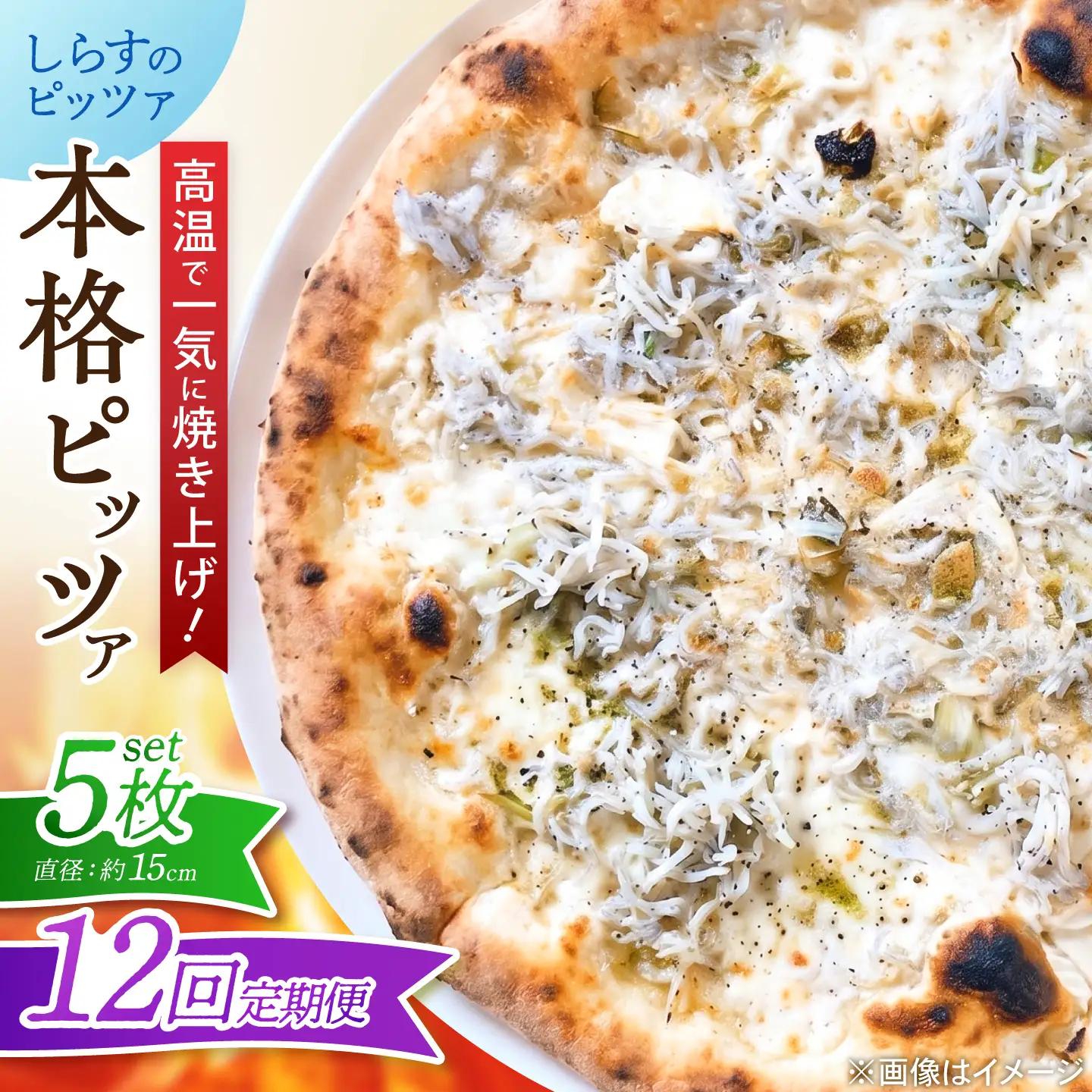【12回定期便】ピザ ナポリピッツァ しらすのピッツァ 5枚 ピザ BJCI032 