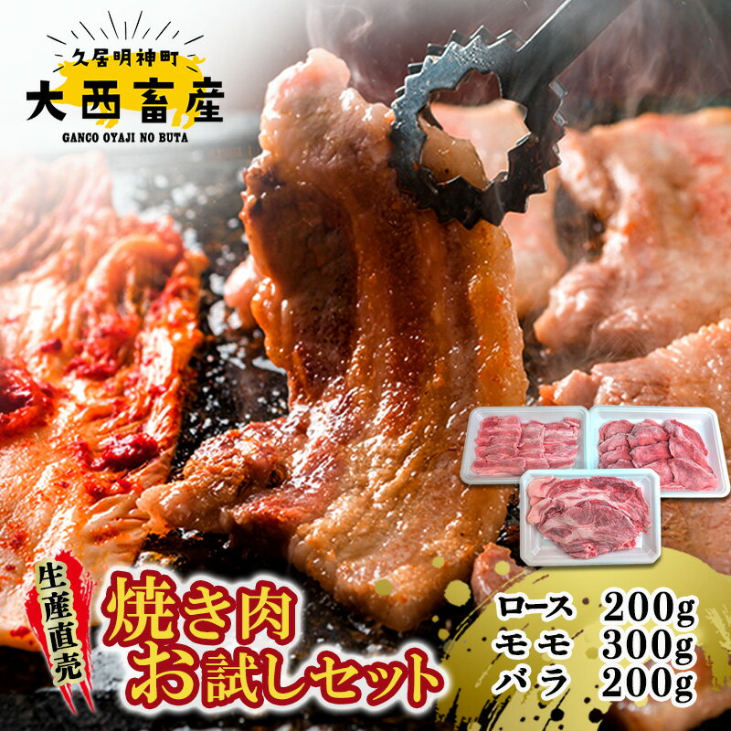 【ふるさと納税】生産直売　焼き肉お試しセット | 肉 お肉 焼肉 BBQ バーベキュー 肩ロース バラ肉 モモ肉