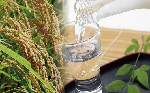 お酒の特徴は、やや辛口のすっきりとした喉越しです。
