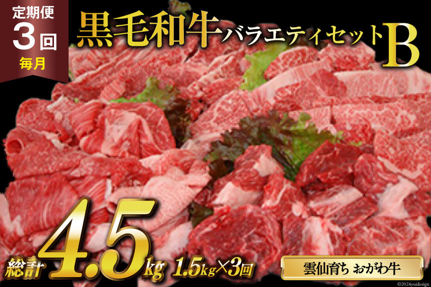 
            定期便 3回 牛肉 雲仙育ち おがわ牛 バラエティーセットB 総計4.5kg(1.5kg×3回) [焼肉おがわ 長崎県 雲仙市 item2128] 黒毛和牛 カルビ 切り落とし 定期 冷凍
          