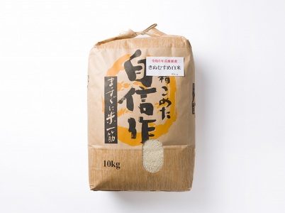 令和５年産 きぬむすめ　白米10kg（10kg×1袋）【５営業日以内に発送】(10-72)