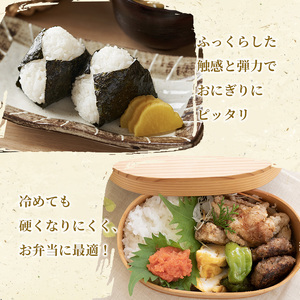 米 令和7年産 ミルキークイーン 5kg 2025年 広島県安芸高田市産 白米 お米 こめ コメ おこめ