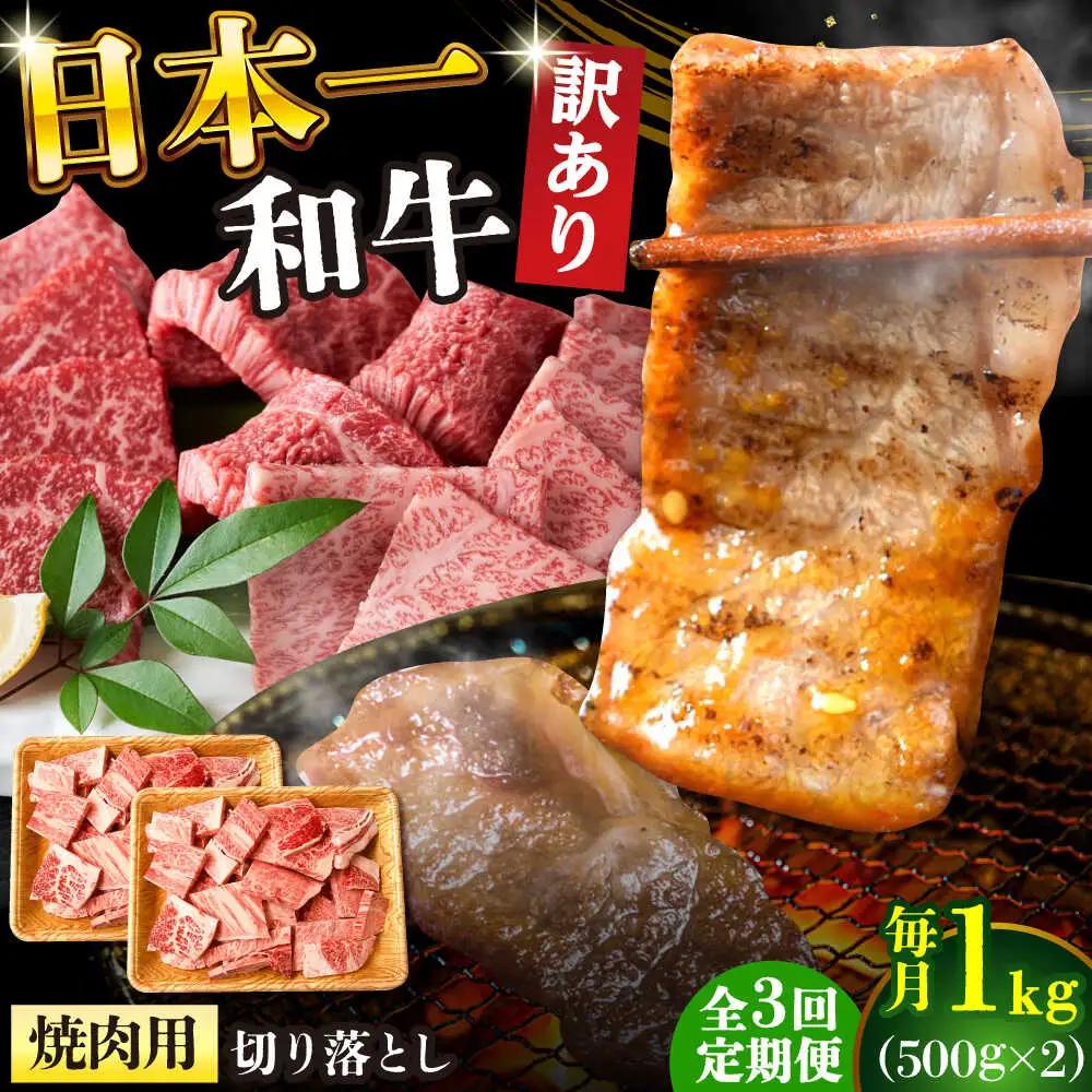 【3回定期便】【訳あり】 A4-A5 長崎和牛 焼肉切り落とし 500g×2 (肩ロース/バラ)  [DBS046] 訳アリ 牛肉