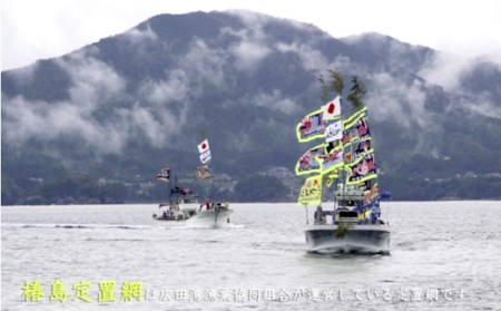 広田湾「椿島定置網サバ水煮」缶詰（3缶セット）