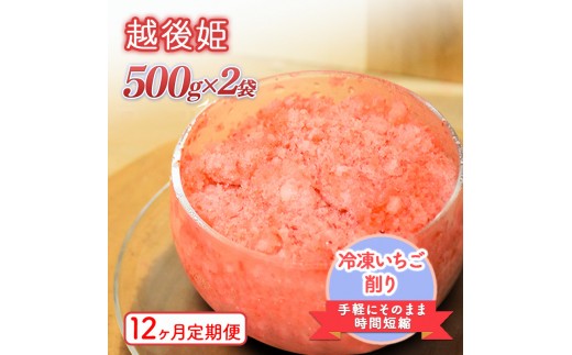 
                  削りいちこ゛越後姫500g×2袋 12ヶ月定期便 冷凍 イチゴ 苺 果物 フルーツ 新潟 苺の花ことば
                