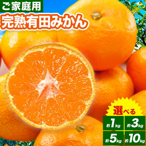 【ふるさと納税】みかん ご 家庭用 完熟 有田みかん 約 1kg 約 3kg 約 5kg 約10kg有田マルシェ《10月中旬-1月上旬頃出荷予定》 和歌山県 日高町 みかん 有田みかん 柑橘 フルーツ 完熟 送料無料 訳あり みかん 蜜柑 ミカン 柑橘