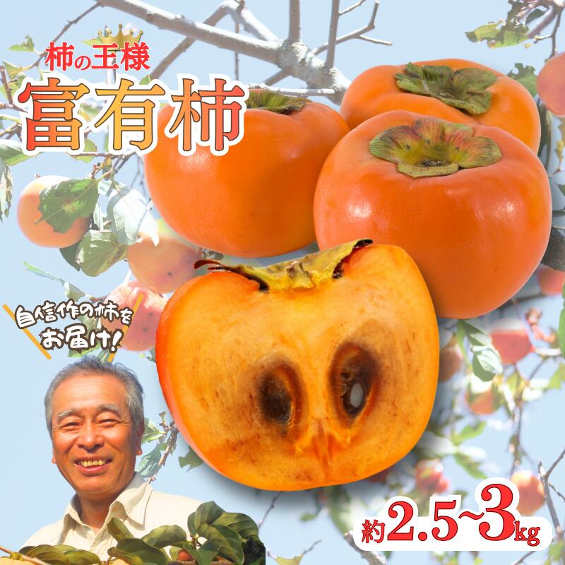 【ふるさと納税】】～こんな美味しいの「食べるのはじめてや!」の感動をお届けします。～先行予約 富有柿 約2.5～3kg 秀優混合 サイズ混合 柿 富有柿 和歌山県 かつらぎ町 秋の味覚 フルーツ 果物 甘い 美味しい 旬 贈り物【2026年11月中旬～12月下旬頃発送予定】