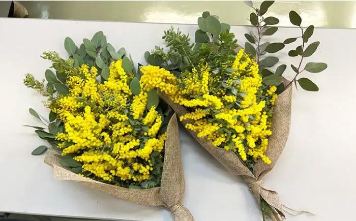 雑貨 ユーカリとミモザのスワッグ / ミモザ ユーカリ スワッグ ドライフラワー ブーケ 花束 花飾り インテリア雑貨 大阪府 / 大阪府藤井寺市/JamFlowerSalon [BLAW001]