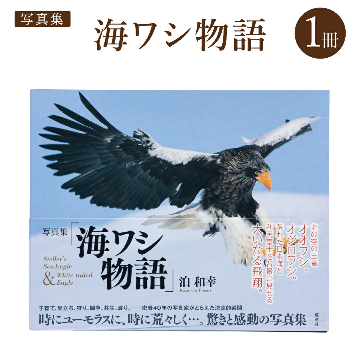 【ふるさと納税】海ワシ物語【写真集】 自然 動物 海 海ワシ ワシ 写真集 北海道 遠別町