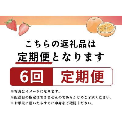 ふるさと納税 丸亀市 【発送月固定定期便】フルーツ定期便 Aコース(キウイ デコポン いちご 小原紅早生みかん)全6回 |  | 01