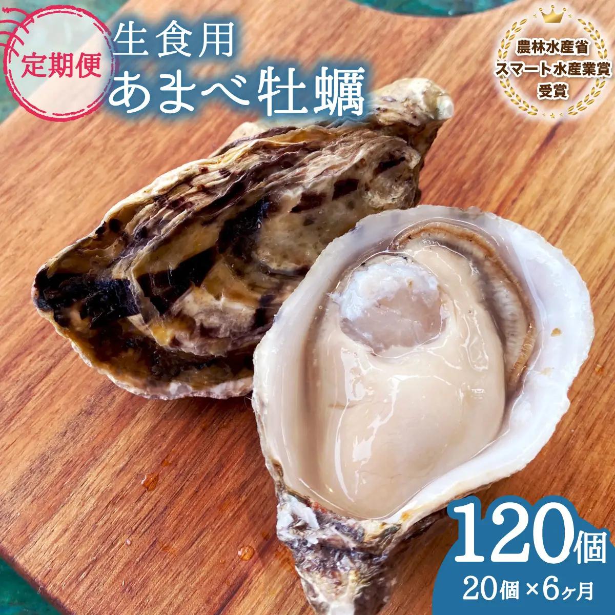 【あまべ牡蠣 20個 6ヶ月連続定期便】あまべ牡蠣 20個 6ヶ月定期便 120個 牡蠣 シングルシード 生食用 殻付き かき カキ オイスター 生ガキ 生牡蠣 生がき 生かき ギフト 貝 旨味