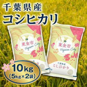 コシヒカリ 10kg 令和7年産 コシヒカリ
