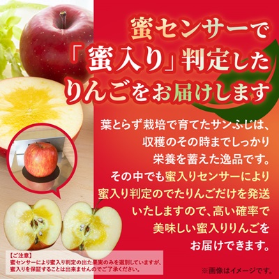 【甘くてみずみずしい】 りんご 葉取らずふじ 蜜入判定 約3kg (約9～12個) 青森市 産地直送【配送不可地域：離島】