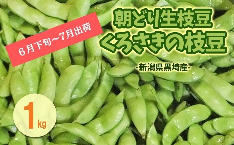 くろさきの枝豆1kg 【6月末～7月発送】 新潟県黒埼産  朝ど