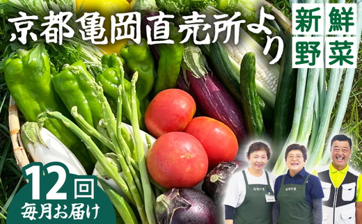 野菜 定期便 直送 12回 朝採れ 7～10品目 京都丹波 亀岡 佐伯の里 訳あり生活応援 家計応援 ※北海道・沖縄・離島への配送不可