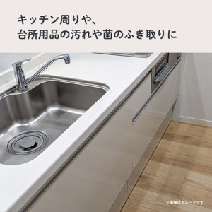 除菌ウェットティッシュ (大判サイズ)