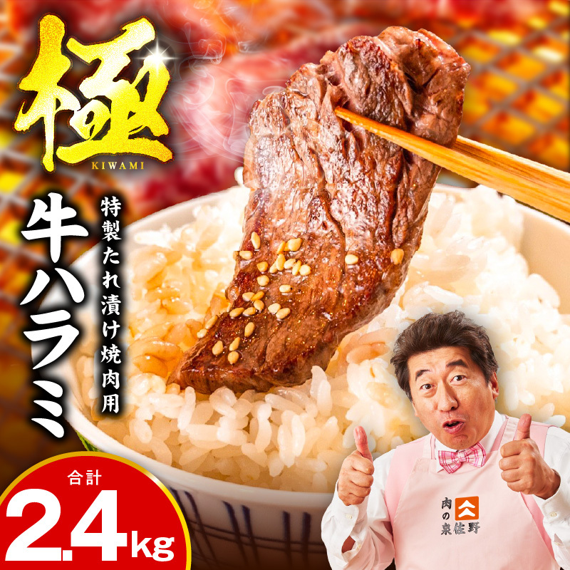 【氷温熟成×特製ダレ】牛肉 ハラミ 2.4kg（300g×8P） mrz0429