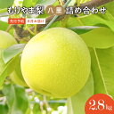 【ふるさと納税】先行予約　びわこもりやまフルーツランド もりやま梨　八里詰め合わせ　完熟採り　生産農家直送