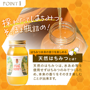 天然アカシヤハチミツセット(1000g×2) 天然 アカシヤ ハチミツ 2本 計2kg 水あめ不使用 非加熱 クセがない すっきり 食べやすい 使いやすい 蜂蜜 はちみつ ハニー ギフト 山梨県 北杜