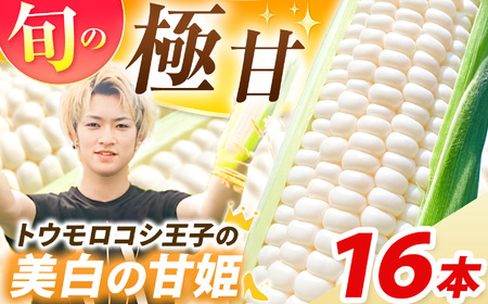 【先行予約】トウモロコシ王子の「美白の甘姫」8本×2箱 | とうもろこし トウモロコシ 白トウモロコシ 白とうもろこし 野菜 スイーツ 甘い 栃木県 真岡市 送料無料
