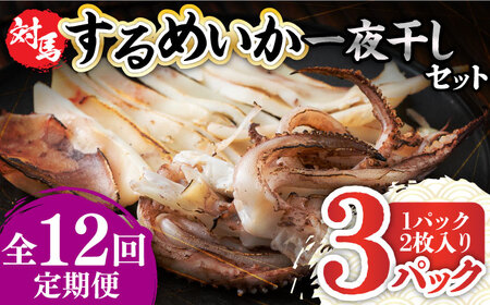 【全12回定期便】するめ いか 一夜干し セット《対馬市》【対馬地域商社】九州 長崎 海鮮  九州 長崎 [WAC026]冷凍 新鮮 簡単調理 肉厚 スルメイカ いか 小分け 天ぷら 炒め物 おつまみ 個包装 贈り物 プレゼント 対馬 つしま するめいか 烏賊 人気 定期便 毎月届く