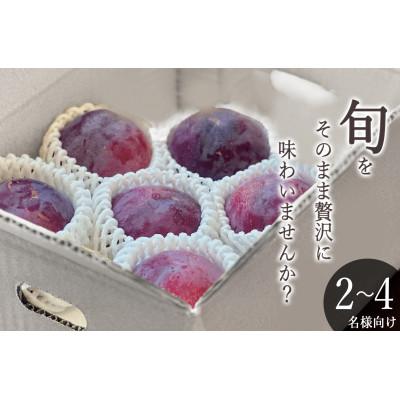 ふるさと納税 甲州市 【先行予約2026年】甲州市産 貴陽 1kg(5〜7個入)