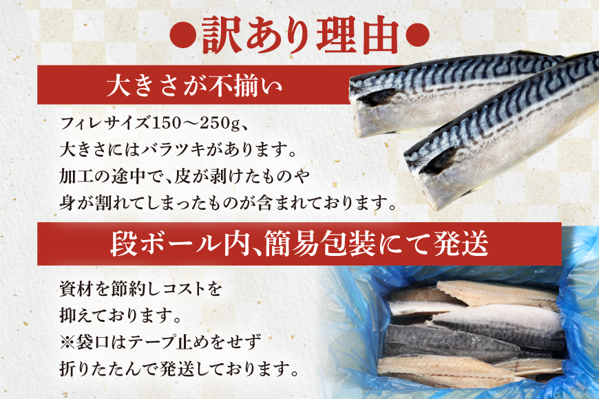 訳あり 塩サバ フィレ 3kg [足利本店 宮城県 気仙沼市 20564146] 魚介類 魚 海鮮 大容量 サバ さば 鯖 サバフィレ サバフィーレ 鯖フィレ トロサバ 訳アリ 訳あり わけあり 切り