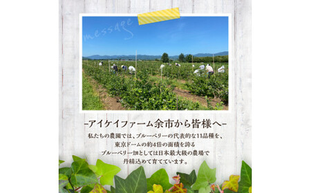 【2024年7月25日以降発送】青果ブルーベリーおまかせ２品種食べ比べセット1kg（250g×4パック）＜アイケイファーム余市＞_Y111-0002