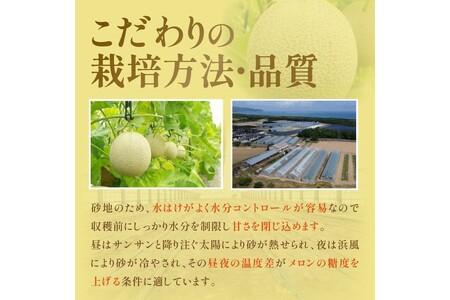 メロン／果物【先行予約／数量限定200】砂姫メロン2玉！大玉2L以上！女性に人気！（2024年6月下旬～発送）※マスクメロン（アールスメロン）系　フルーツ・メロン２玉・果物・ネットメロン