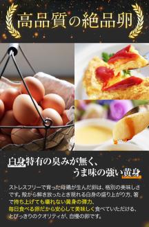 卵 たまご 赤玉 夢の卵 20個入り x 2セット L/LLサイズ《90日以内に出荷予定(土日祝除く)》株式会社めぐみ 岡山県 浅口 たっぷり ---124_85_90d_23_16000_ss---