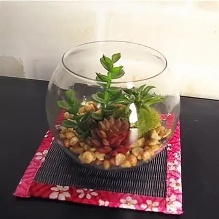 ミニ畳2点+畳コースター5枚セット_雑貨・日用品  家具・インテリア   雑貨・日用品  食器 _【配送不可地域：離島・北海道・沖縄県】【1089216】