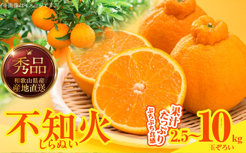 
            MK1009_不知火 (しらぬい) 秀品 玉ぞろい 箱込 2.5kg～10kg (内容量約2.3kg～9.2kg)  和歌山県産 産地直送
          
